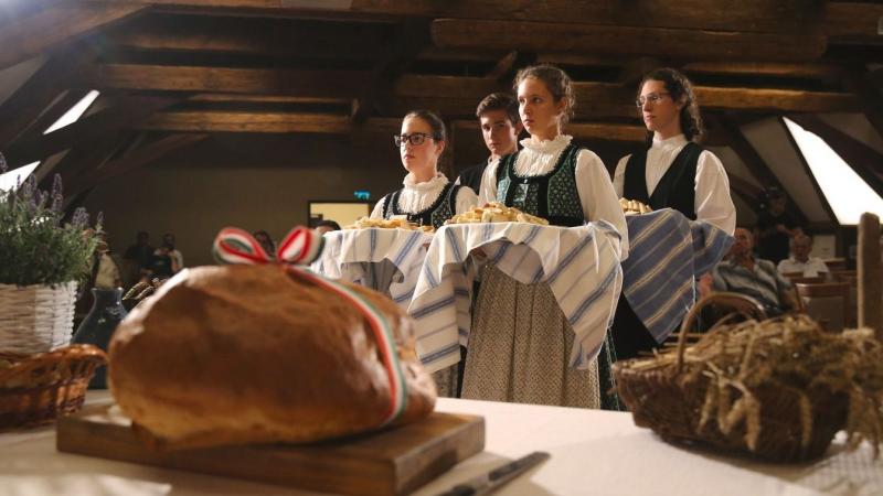 Pécstől Szigetvárig: Baranya Szent István ünnepére készülődés varázsa

Baranya megye szívében, a Pécs és Szigetvár közötti festői tájakon egyedülálló hagyományok elevenednek meg Szent István ünnepének előestéjén. A régió tele van élettel, ahogy a települé