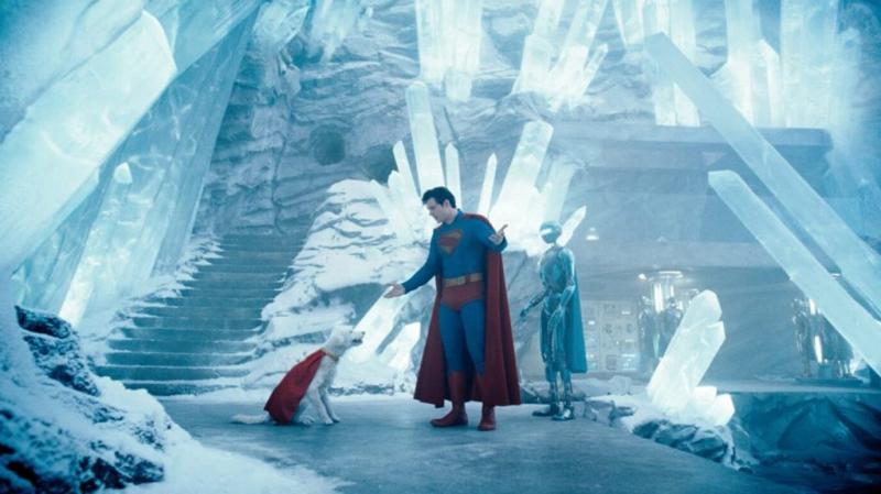 A legújabb Superman-film megjelenése óta ugrásszerűen megnőtt a menhelyi kutyák örökbefogadási kedve. Az emberek a hősies cselekmények és a szeretetteljes kapcsolatokat bemutató jelenetek hatására egyre inkább vonzódnak a négylábú barátokhoz, és sokan úgy