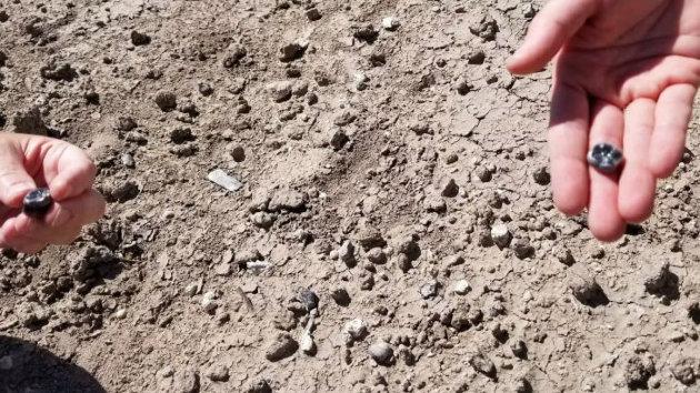 Új Australopithecus-faj fogai bukkantak fel Etiópiában, ami izgalmas felfedezést jelent a korai emberi evolúció terén. Az újonnan előkerült fosszíliák nem csupán a fajok sokféleségét gazdagítják, hanem újabb betekintést nyújtanak a hominidák életmódjába é